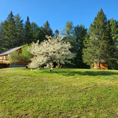 Cozy Errol Home conveniently close to town and with snowmobile access!