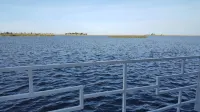 Rebel's Rest - A Romantic Getaway HouseboatNew Water Filtration System - Wifi