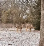 "Country Charm & Game Room Fun, Pool Table, Screens, & Xbox, Close to Stilly - 3성급