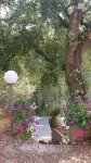 Casa Bruna - Cipresseta del Chianti