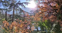 Torre Home - detached house with garden in the city of Bolzano all to yourself!