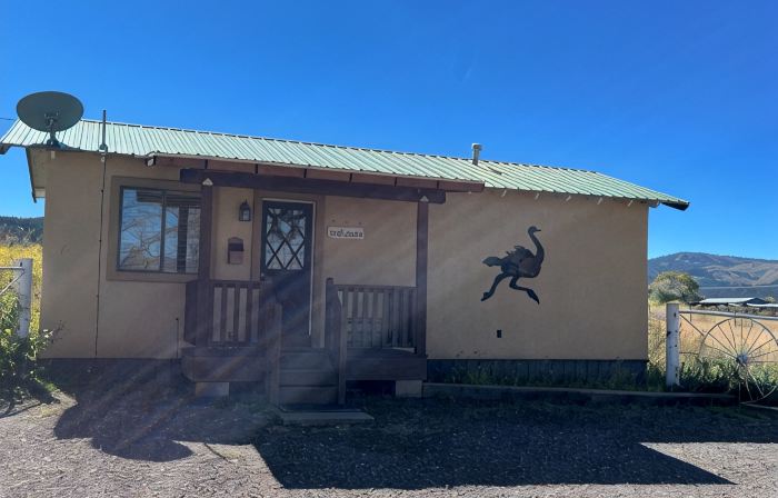 The Ostrich House! Cozy, comfortable and private.