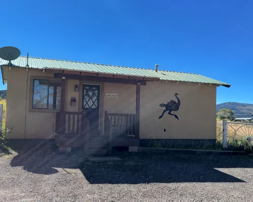 The Ostrich House! Cozy, comfortable and private. Hotels in Eagar