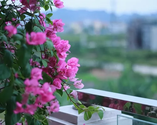 Salina Hotel Ninh Binh Zimmer Photos