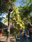 Eco Hotel Las Palmeras Hotels in 