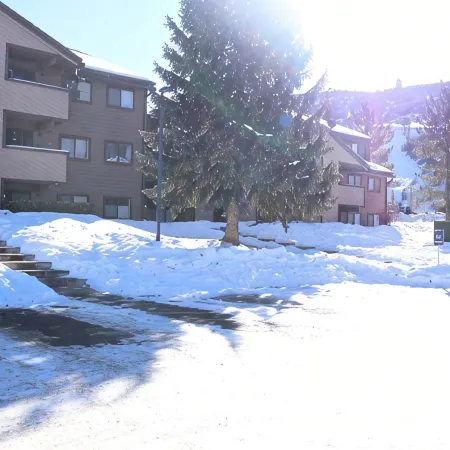 Stylish 2Bd 2BA. Steps to Beaver Creek Shuttle. Remodeled.