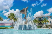 Manatee Pocket! Whole House & Backyard to Yourself - Wifi