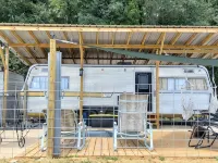 Vintage Restored Glamper - Unique Tiny Home w/ Plunge Pool & Patio St. 클레어 카운티 호텔