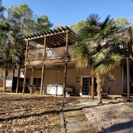 Relax among the palms at Reeled Inn on Beautiful Lake Gaston
