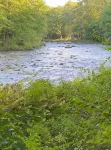Riverside cabin, fly-fish for trout or just relax!