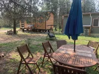 #31 Tranquil Pines Tiny Houses Horse Friendly - Chalets