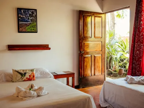 Hotel Hibiscus Playa Junquillal - Homestays