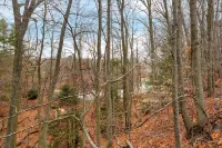 Lakehouse Nestled in Nature-10min to Lake Michigan - Homestays
