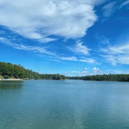 Large beautiful ocean front studio with private dock