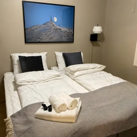 Big central house with a view, free parking(E31) Отели в г. Нарвик