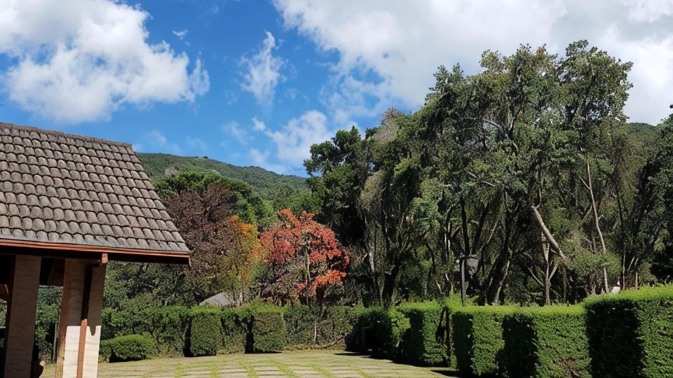 Pousada Bucaneve