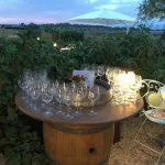 Agriturismo le Spighe - Homestays