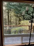 Large house Up in the Redwoods perfect for large families. Pet friendly. - Wifi