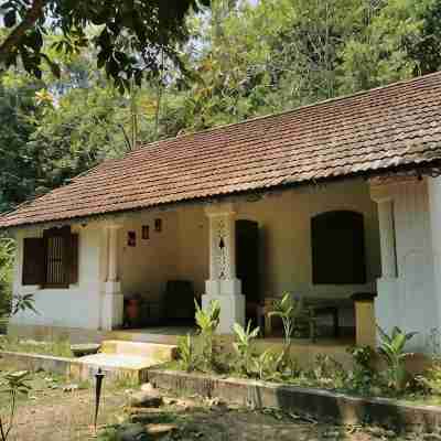Jungle House Hotel Exterior