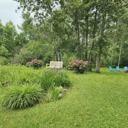 Little House by the Brook