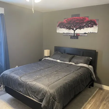Cozy 2 - bedroom Little Blue House On The Hill in enjoyable Jefferson City