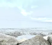 Modern Mid-Century Cabin, on the Beach with Views of the San Juan Islands! - 4つ星