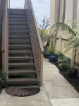 Oceanfront Dolphin Views at the Edge of the USA. 2-Bed 1-Bath Pet-Friendly. - 4-Star