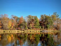 Cozy Peninsula Lake Cabin on 40 Acres - Alphydda