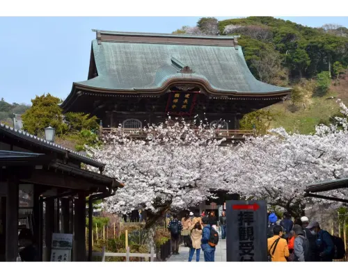 블루 라군 호텔 주변 Photos