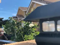 1#New Home*Disneyland*Anaheim Convention*Knott*Beaches - โฮมสเตย์