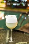 The Upcycled Hostel - Quầy bar