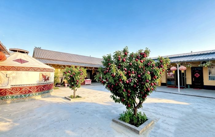 Fushui Renjia Guesthouse