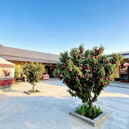 Fushui Renjia Guesthouse
