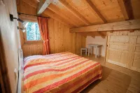 Chalet 9 persons, near Linga gondola, with Wi-Fi - Chatel Reservation - 民宿
