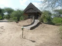 Roika Tarangire Tented Lodge - WiFi