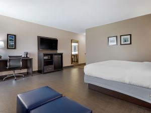 Comfort Inn & Suites Greer - Greenville