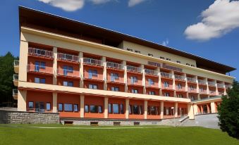 Wellness Resort Energetic