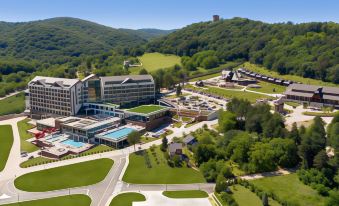 Movenpick Resort and Spa Fruske Terme