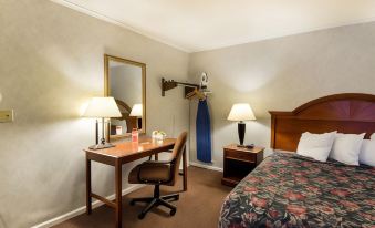 Econo Lodge Inn & Suites