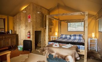 a cozy bedroom with wooden walls , a bed , and a cow skull on the table at The Camp - Lake Hawea