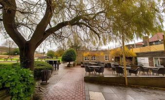 Cross Keys by Chef & Brewer Collection - Housity