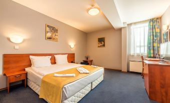 Sveta Sofia Hotel - Housity