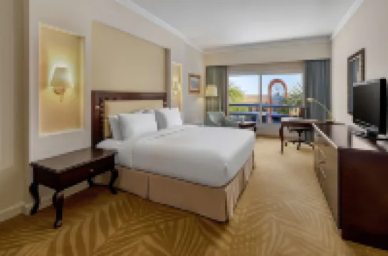 Hilton Alexandria Green Plaza Hotels in Alexandria