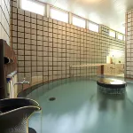 Nadaiya Hotels in Yahiko