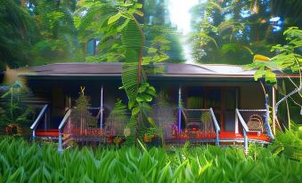 Heritage Lodge - in the Daintree