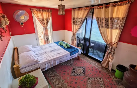 MDF海灘度假村和旅行-近鯨鯊