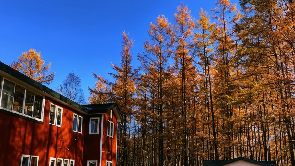 Obihiro Yachiyo Youth Hostel