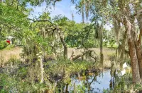 Perfect Retreat - 10 mins to Parris Island + Walk to Coffee Shops & Restaurants