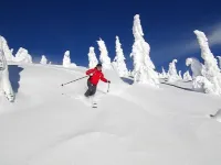 Ski In Ski Out Condo