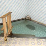 Horieya Ryokan Hôtels à : Date